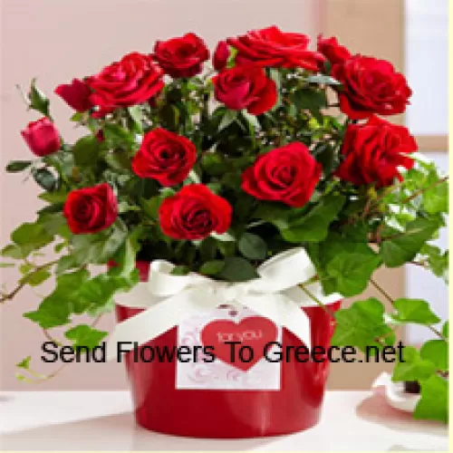 Prekrasan aranžman od 19 crvenih ruža s sezonskim punilima