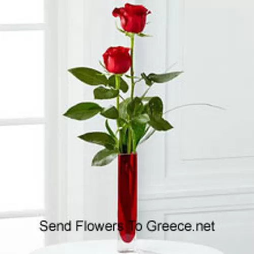 Dvije crvene ruže u crvenoj epruveti (Zadržavamo pravo zamjene vaze u slučaju nedostupnosti. Ograničena količina)