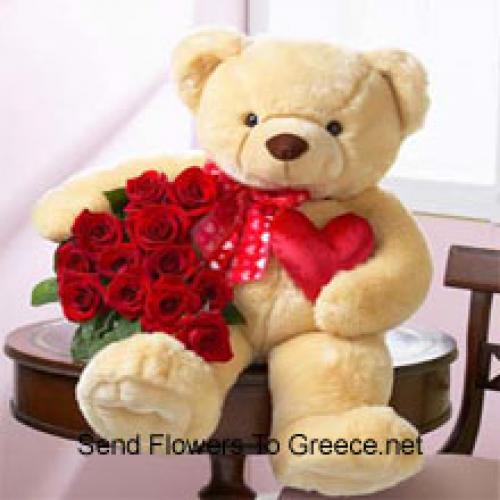 11 Niedliche Rosen mit 24 Zoll Teddy