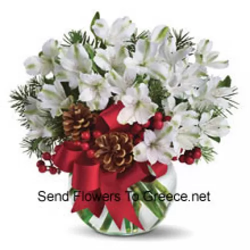 Share the magic of a white Christmas with this cheery bouquet of snowy white alstroemeria blossoms arranged in vase with festive holiday trim. (Please Note That We Reserve The Right To Substitute Any Product With A Suitable Product Of Equal Value In Case Of Non-Availability Of A Certain Product)